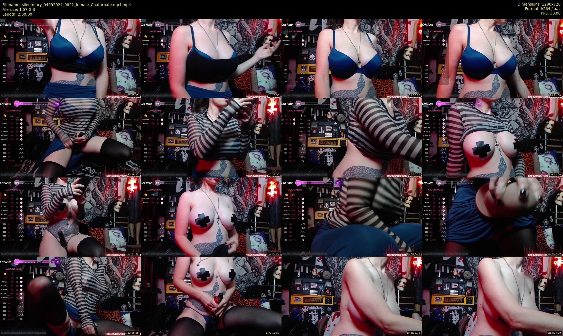 silentmary — 120 minute Chaturbate female cam show recording, 720p, Sep 4, 2024
