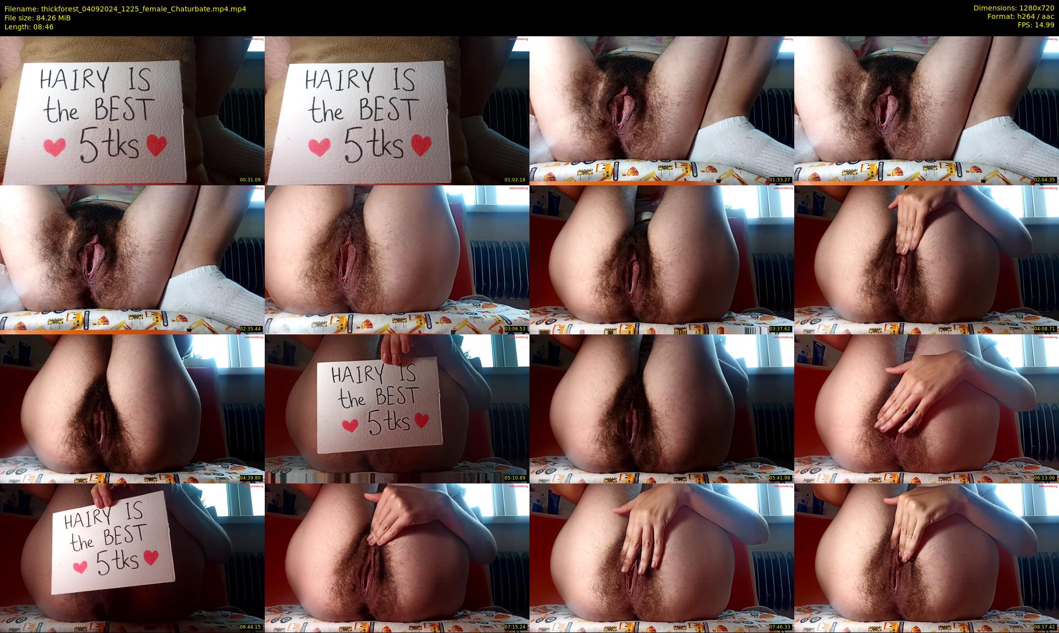 thickforest — 9 minute Chaturbate female cam show recording, 720p, Sep 4, 2024