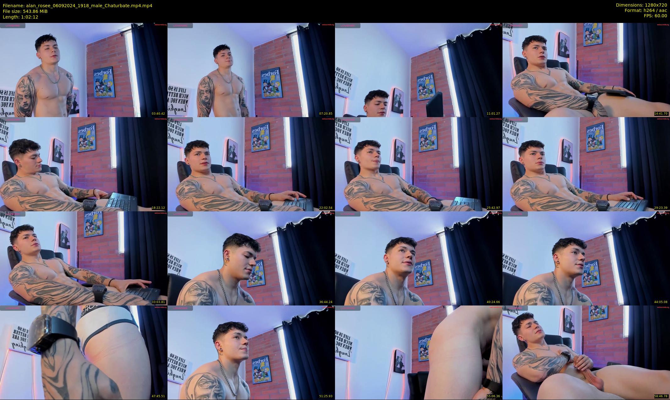alan_rosee — 63 minute Chaturbate male cam show recording, 720p, Sep 6, 2024