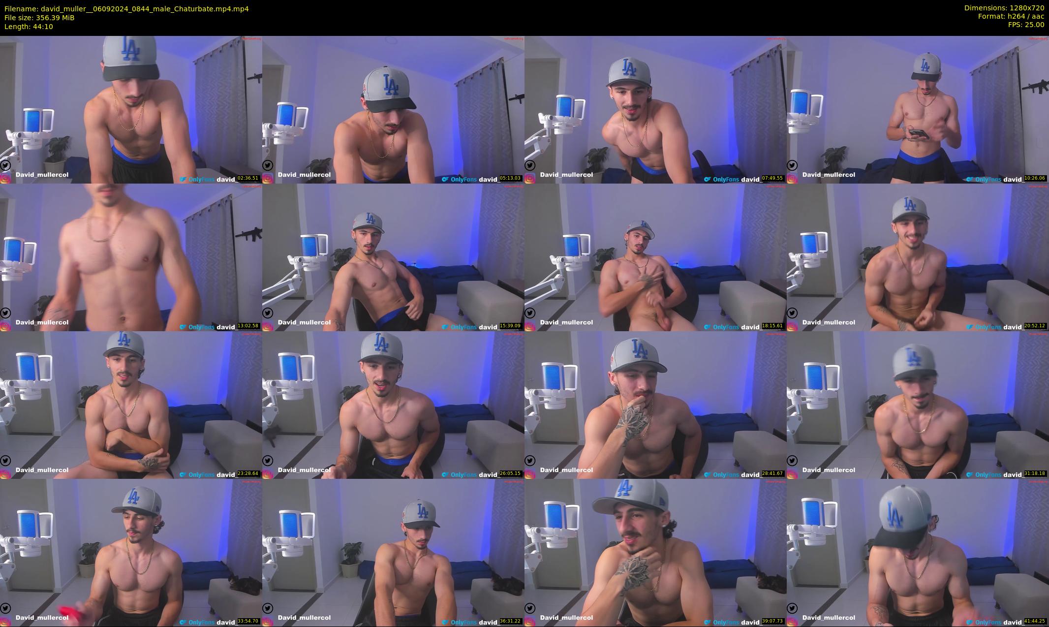 david_muller_ — 45 minute Chaturbate male cam show recording, 720p, Sep 6, 2024