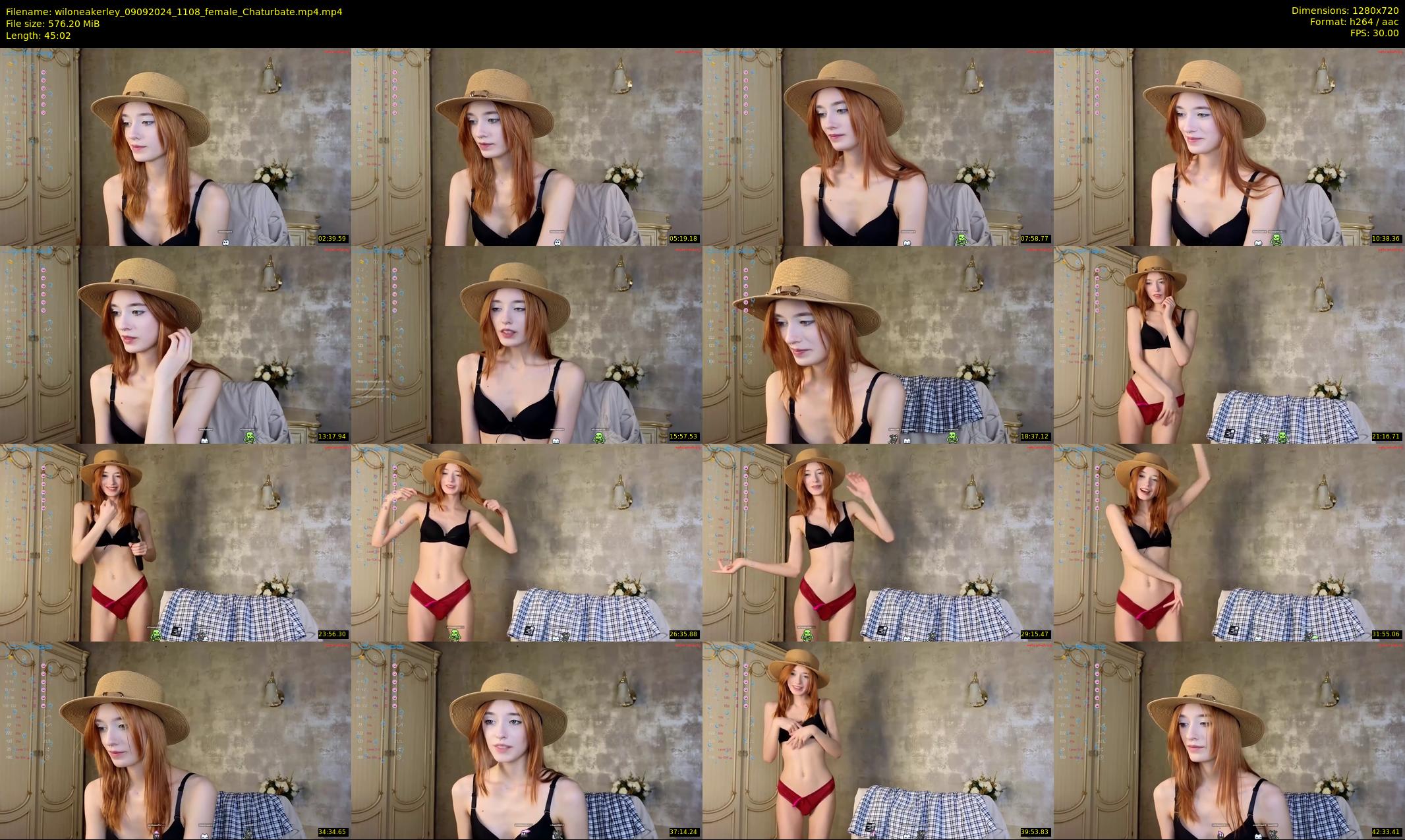wiloneakerley — 46 minute Chaturbate female cam show recording, 720p, Sep 9, 2024