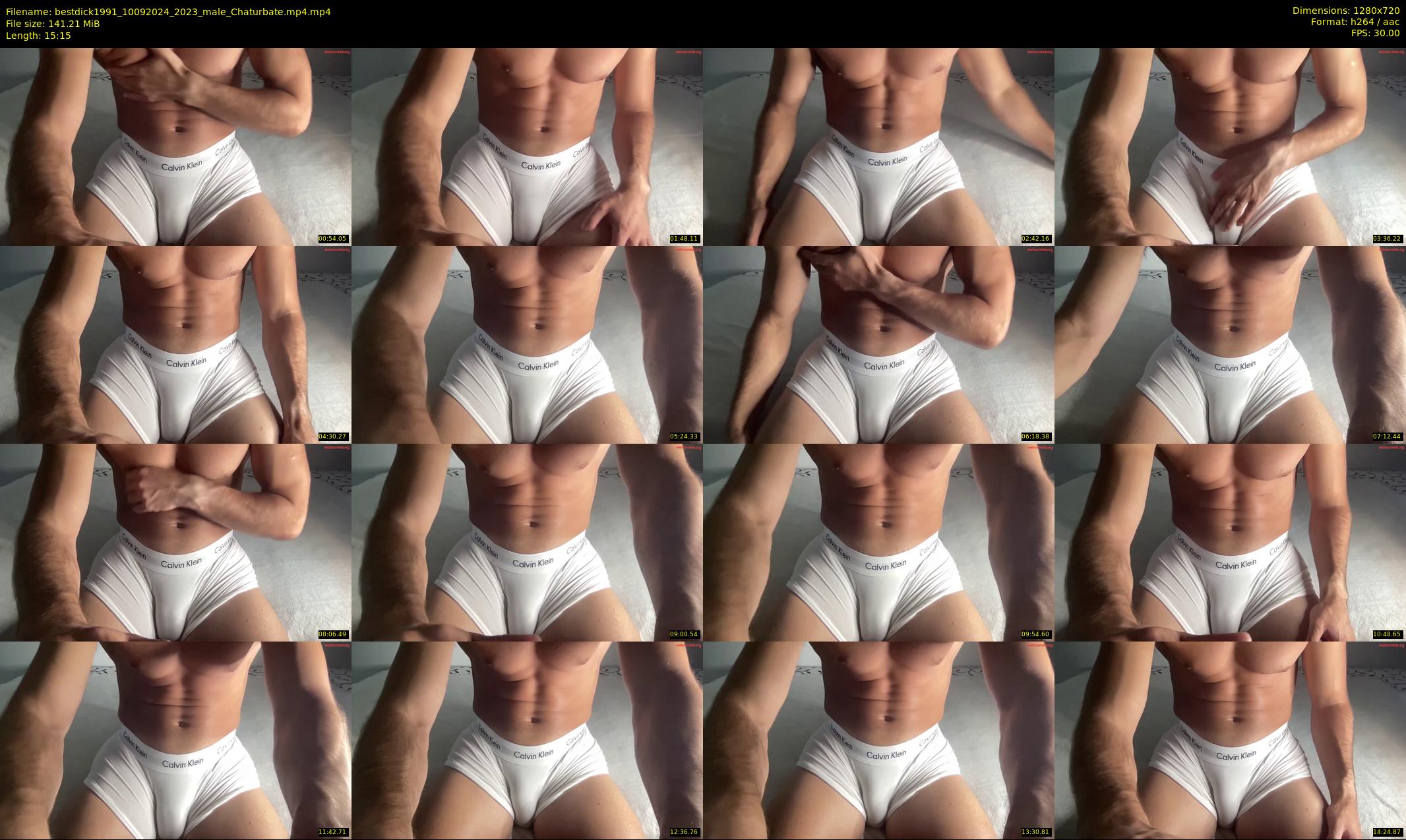 bestdick1991 — 16 minute Chaturbate male cam show recording, 720p, Sep 10, 2024