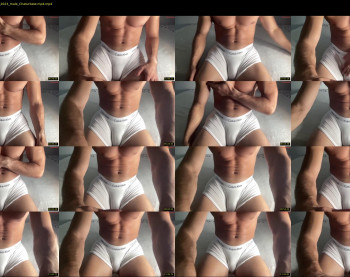 bestdick1991 — 16 minute Chaturbate male cam show recording, 720p, Sep 10, 2024