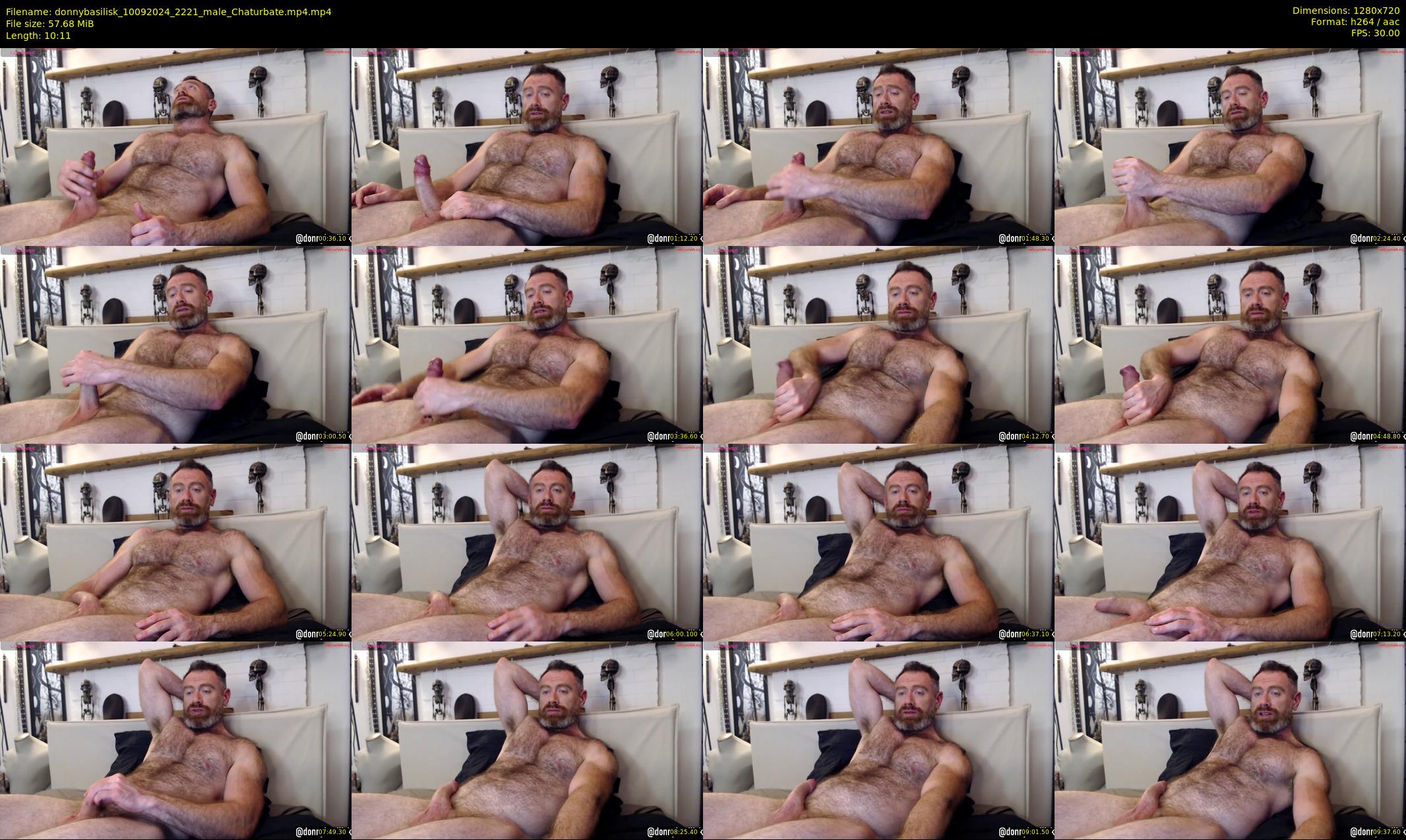 donnybasilisk — 11 minute Chaturbate male cam show recording, 720p, Sep 10, 2024