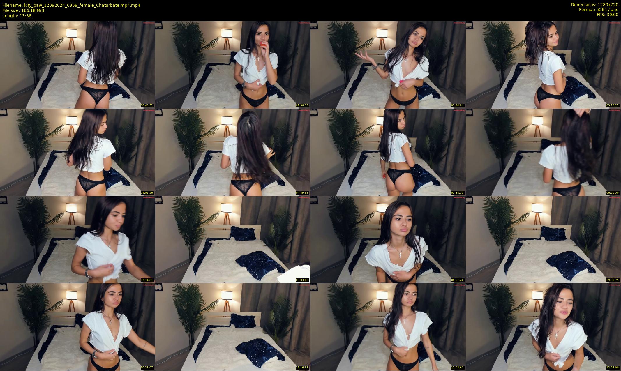 kity_paw — 14 minute Chaturbate female cam show recording, 720p, Sep 12, 2024