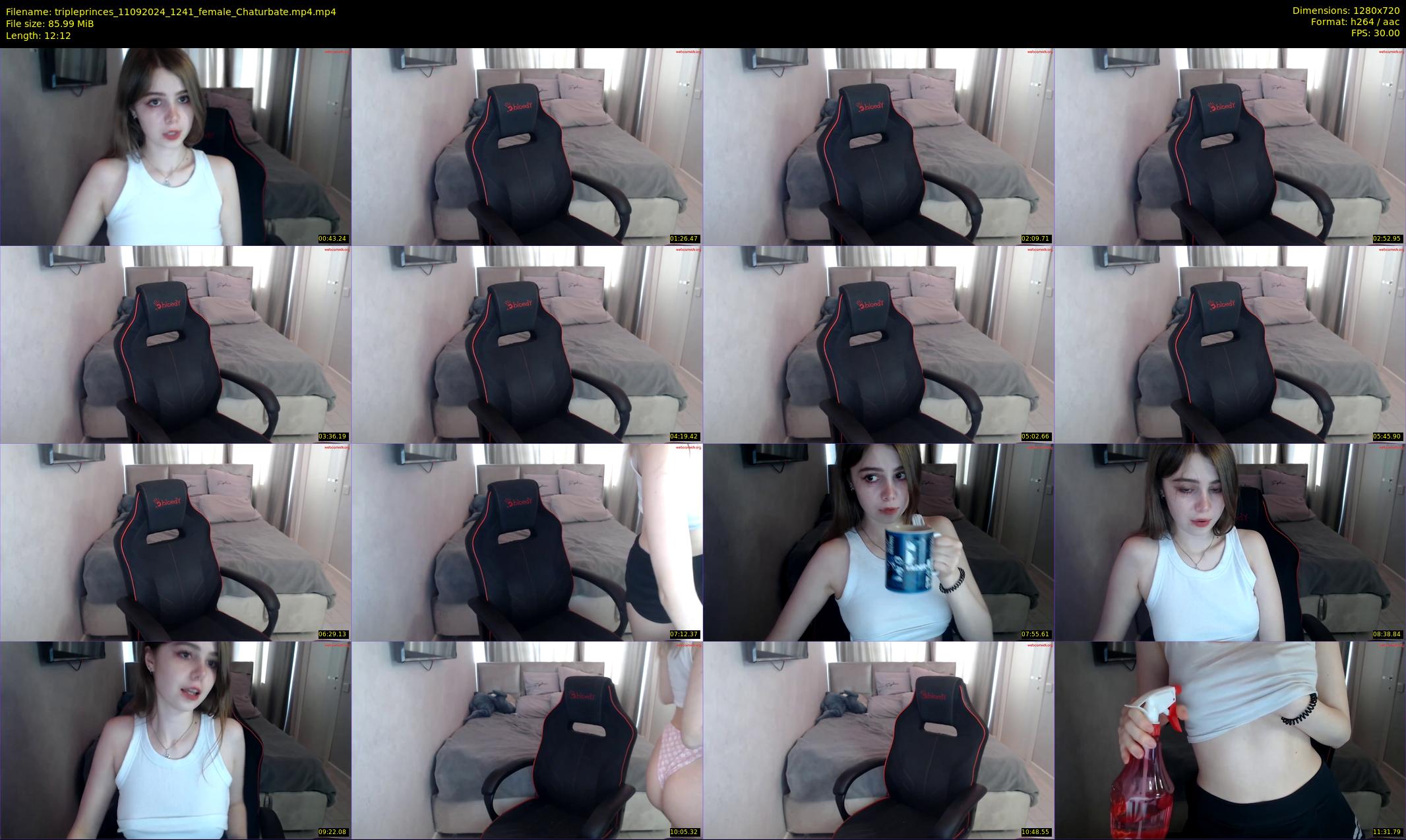 tripleprinces — 13 minute Chaturbate female cam show recording, 720p, Sep 11, 2024