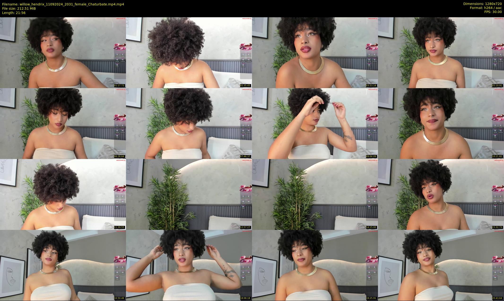 willow_hendrix — 22 minute Chaturbate female cam show recording, 720p, Sep 11, 2024