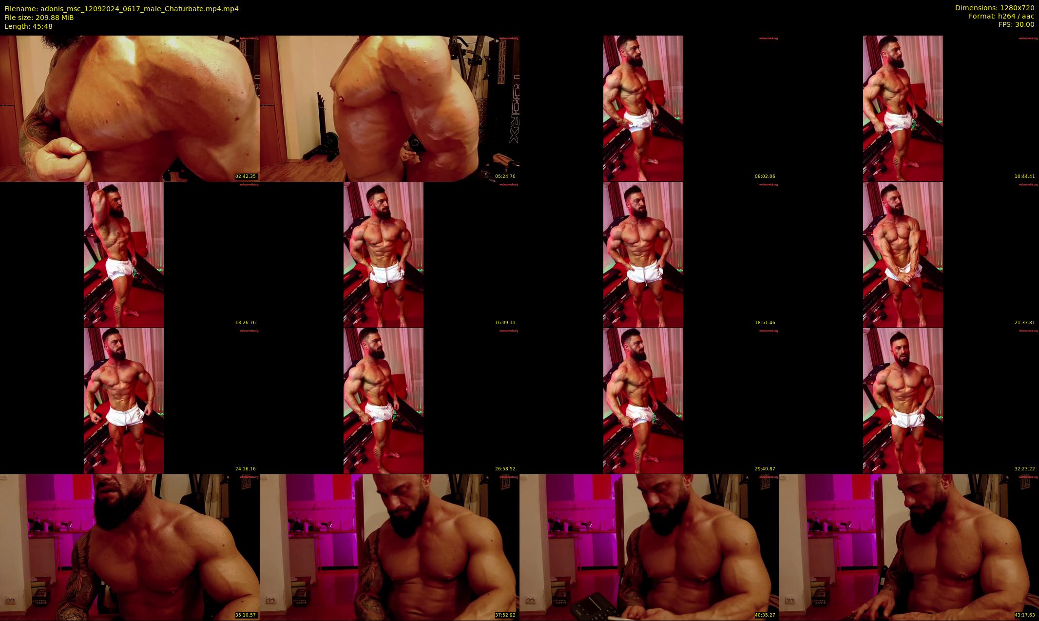 adonis_msc — 46 minute Chaturbate male cam show recording, 720p, Sep 12, 2024
