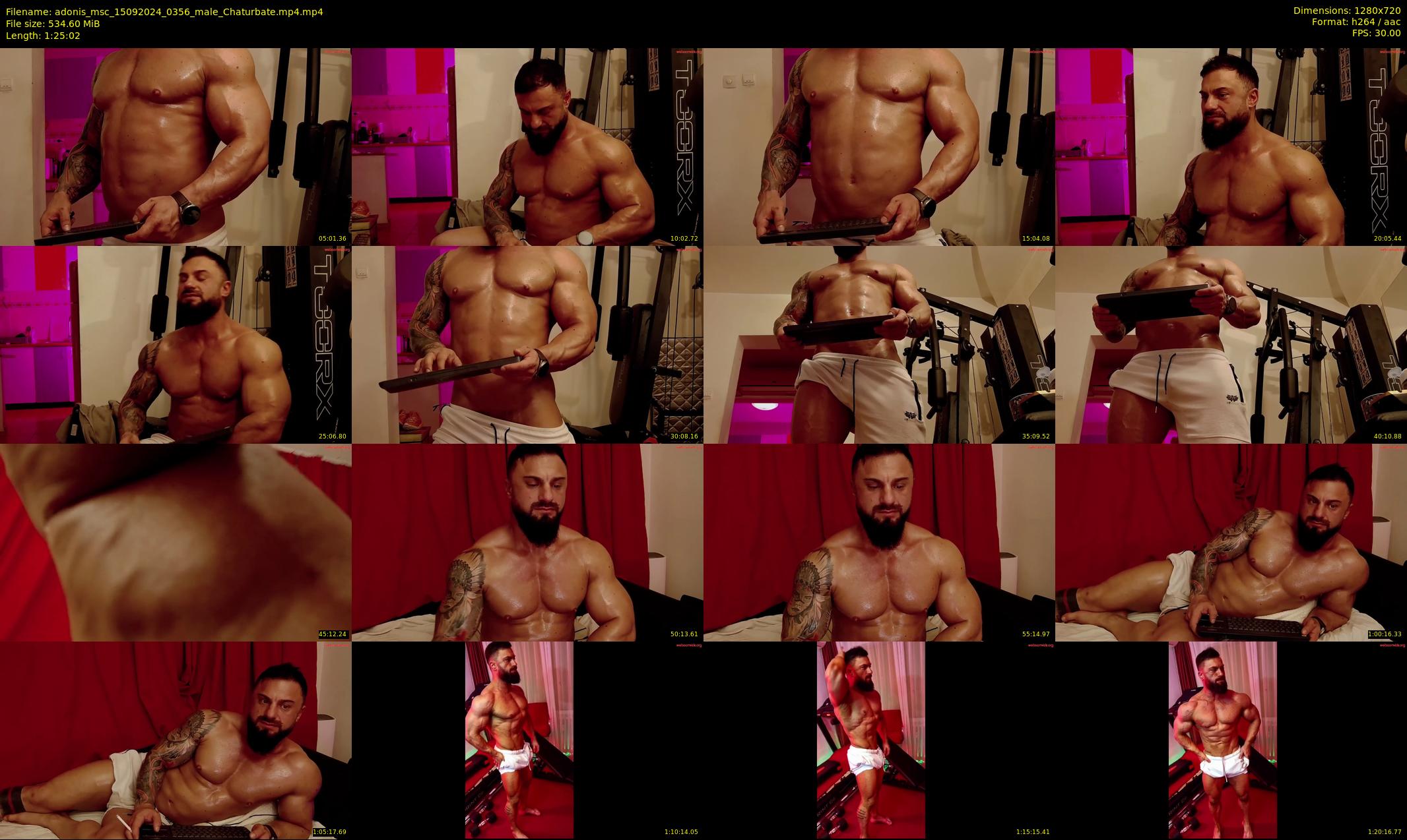adonis_msc — 86 minute Chaturbate male cam show recording, 720p, Sep 15, 2024