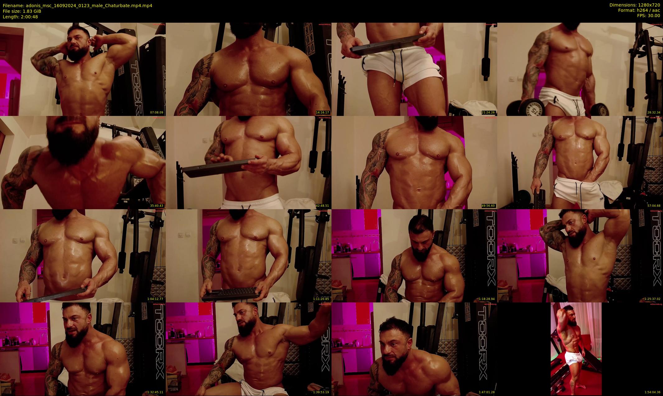 adonis_msc — 121 minute Chaturbate male cam show recording, 720p, Sep 16, 2024