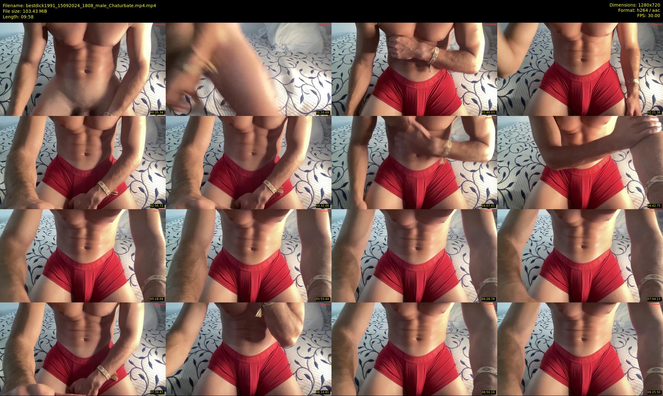 bestdick1991 — 10 minute Chaturbate male cam show recording, 720p, Sep 15, 2024