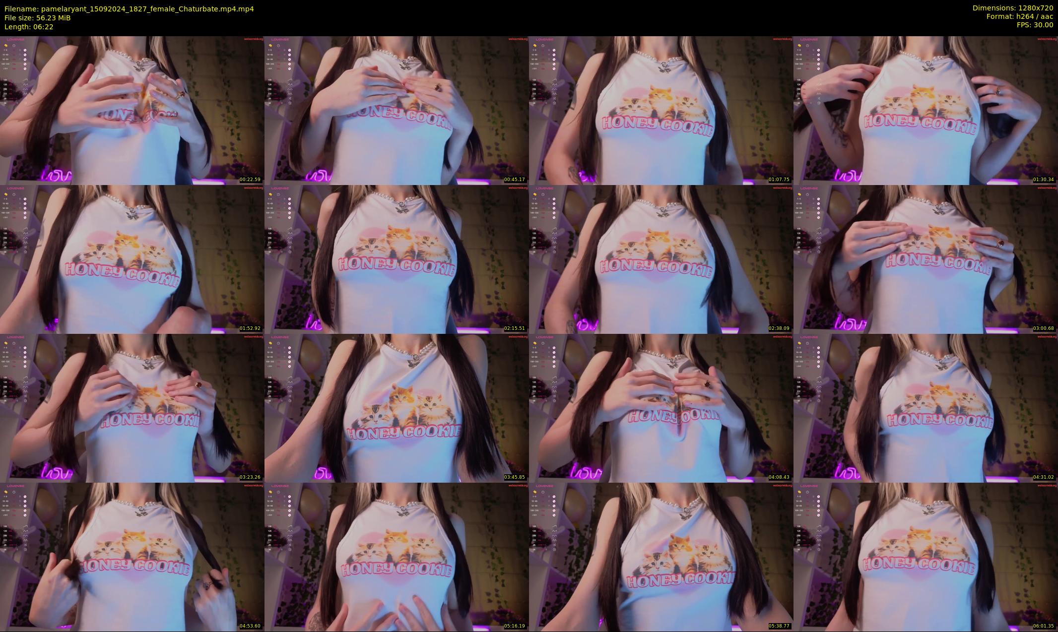 pamelaryant — 7 minute Chaturbate female cam show recording, 720p, Sep 15, 2024