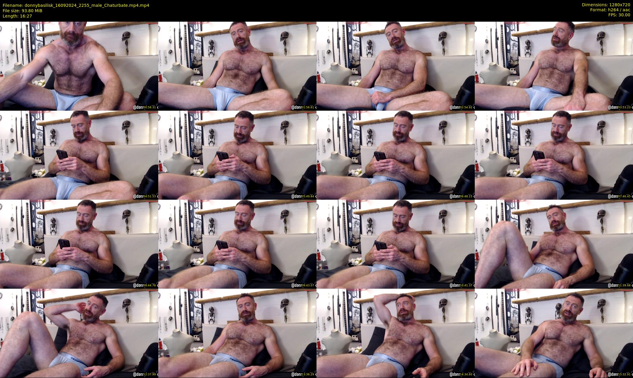 donnybasilisk — 17 minute Chaturbate male cam show recording, 720p, Sep 16, 2024