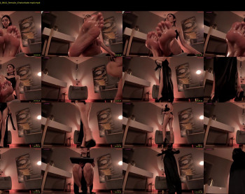 amyarmstrong — 69 minute Chaturbate female cam show recording, 720p, Sep 17, 2024
