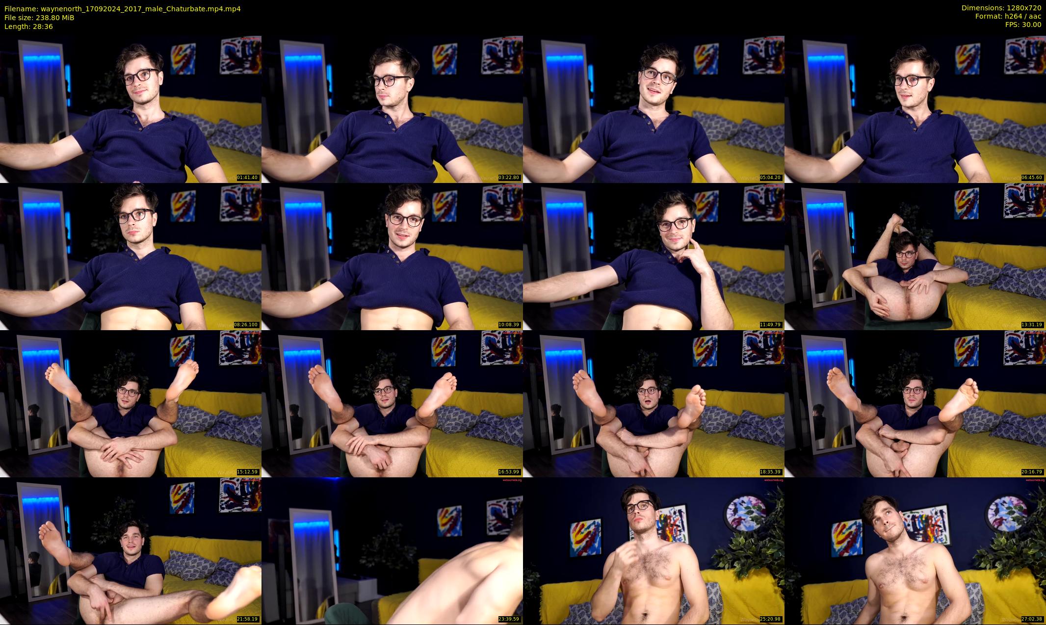 waynenorth — 29 minute Chaturbate male cam show recording, 720p, Sep 17, 2024