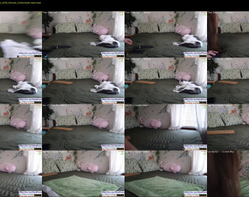 aliceriverscam — 7 minute Chaturbate female cam show recording, 720p, Sep 18, 2024