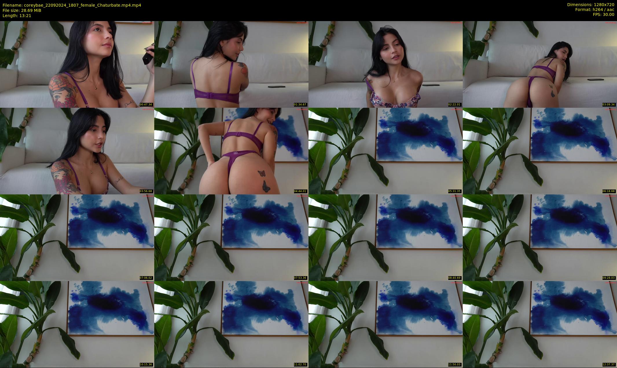 coreybae — 14 minute Chaturbate female cam show recording, 720p, Sep 22, 2024