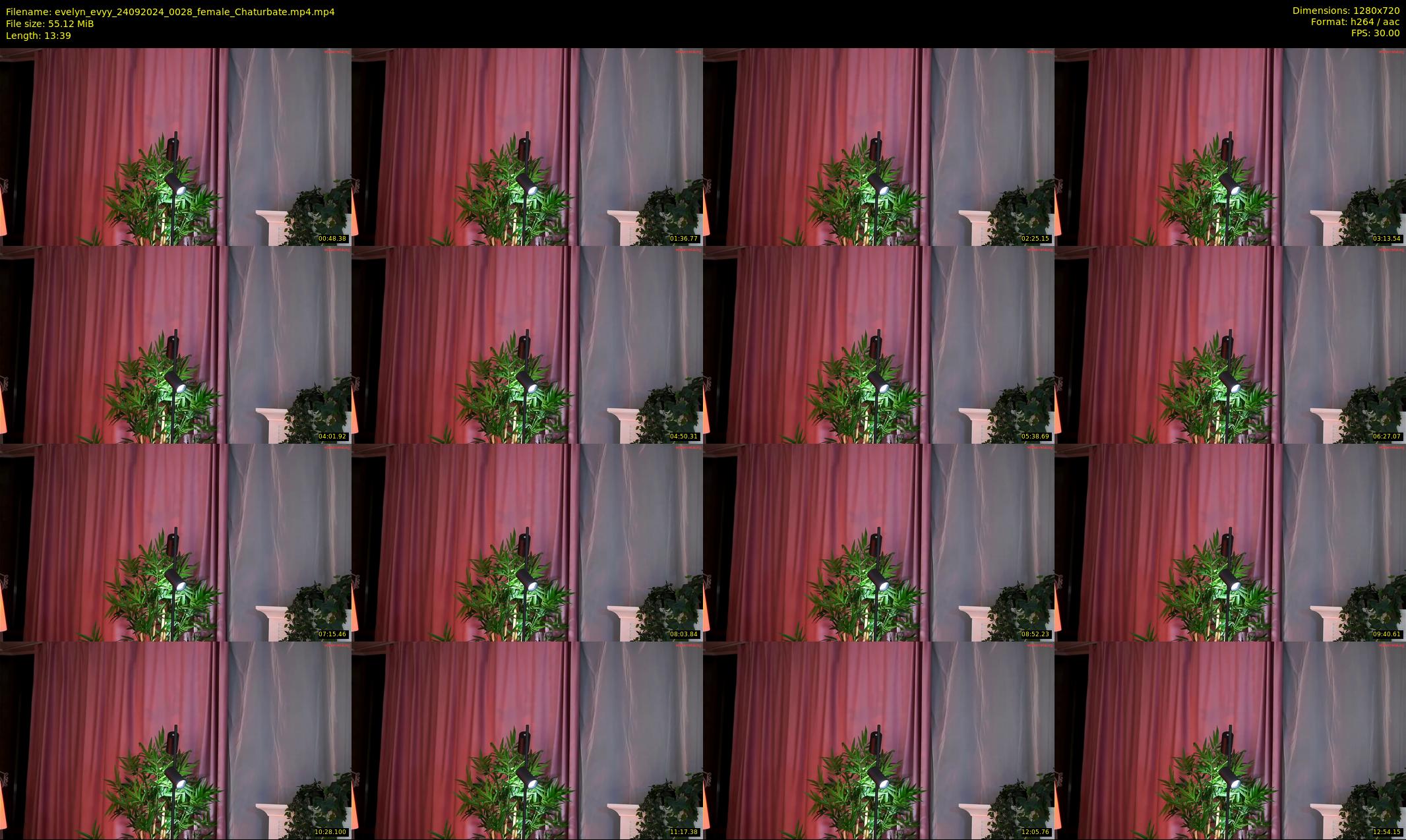 evelyn_evyy — 14 minute Chaturbate female cam show recording, 720p, Sep 24, 2024