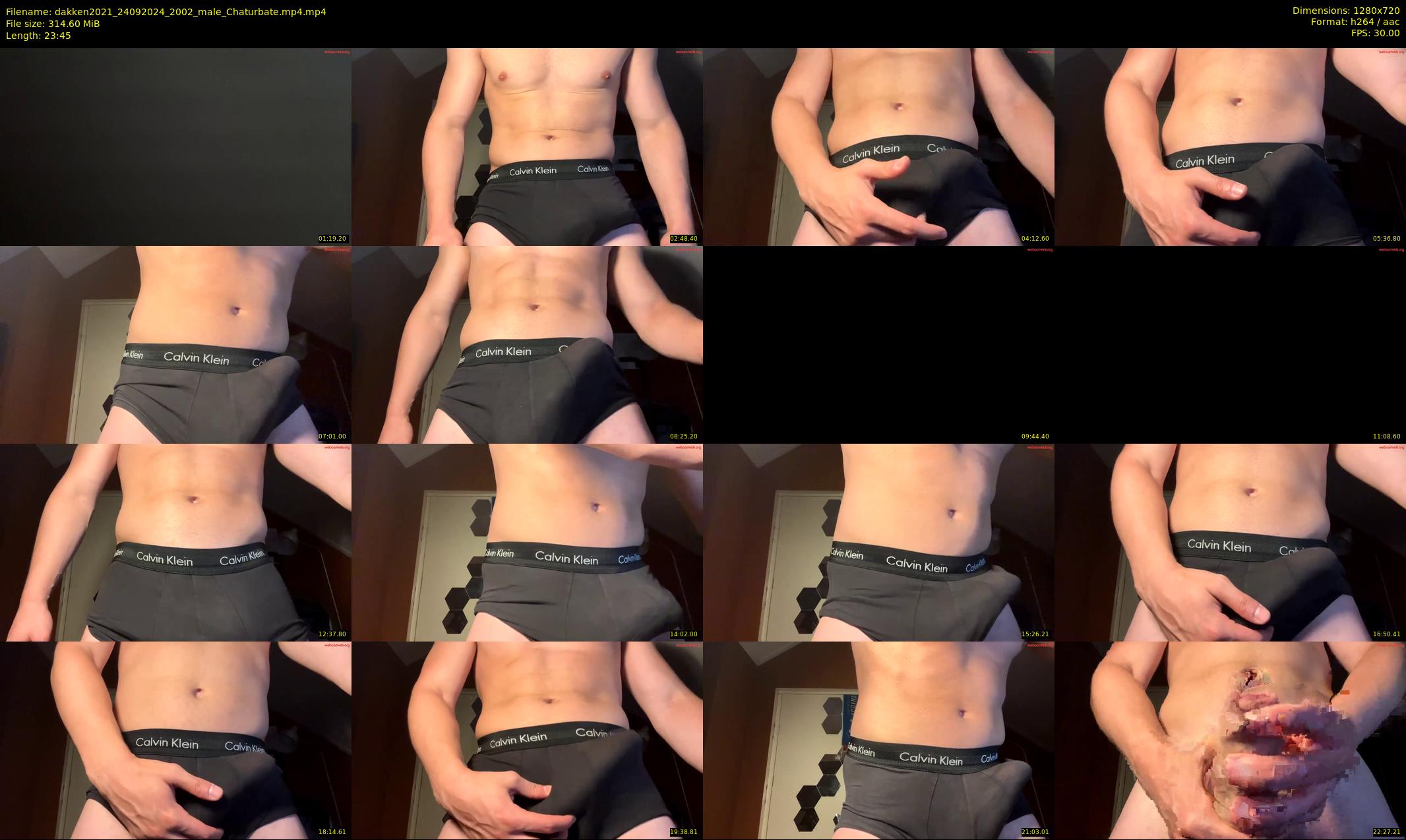 dakken2021 — 24 minute Chaturbate male cam show recording, 720p, Sep 24, 2024