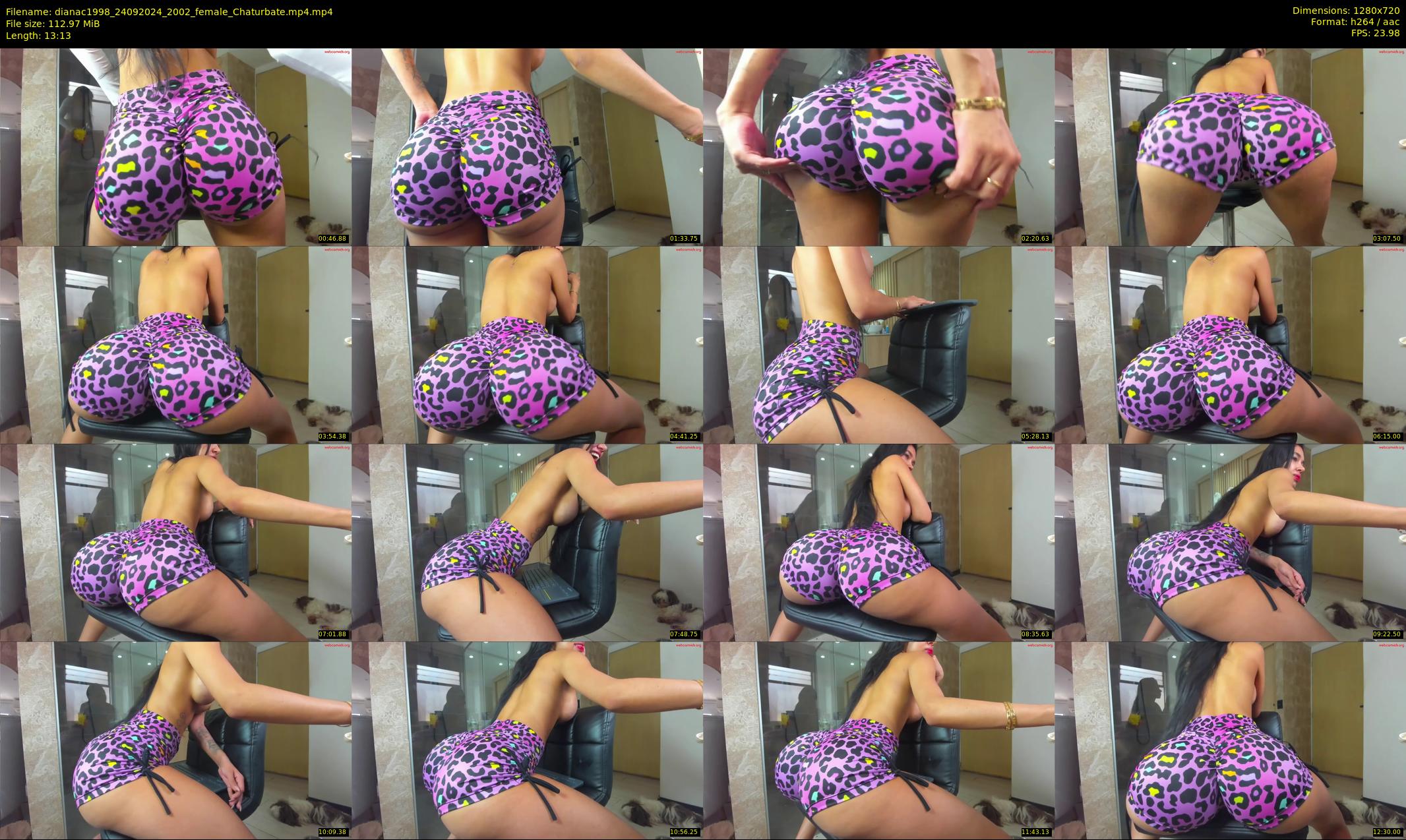 dianac1998 — 14 minute Chaturbate female cam show recording, 720p, Sep 24, 2024