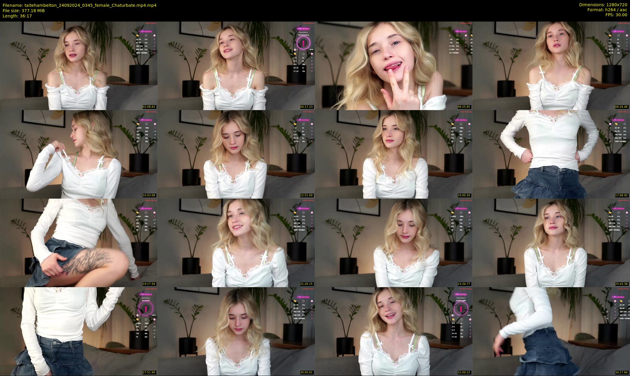 taitehambelton — 37 minute Chaturbate female cam show recording, 720p, Sep 24, 2024