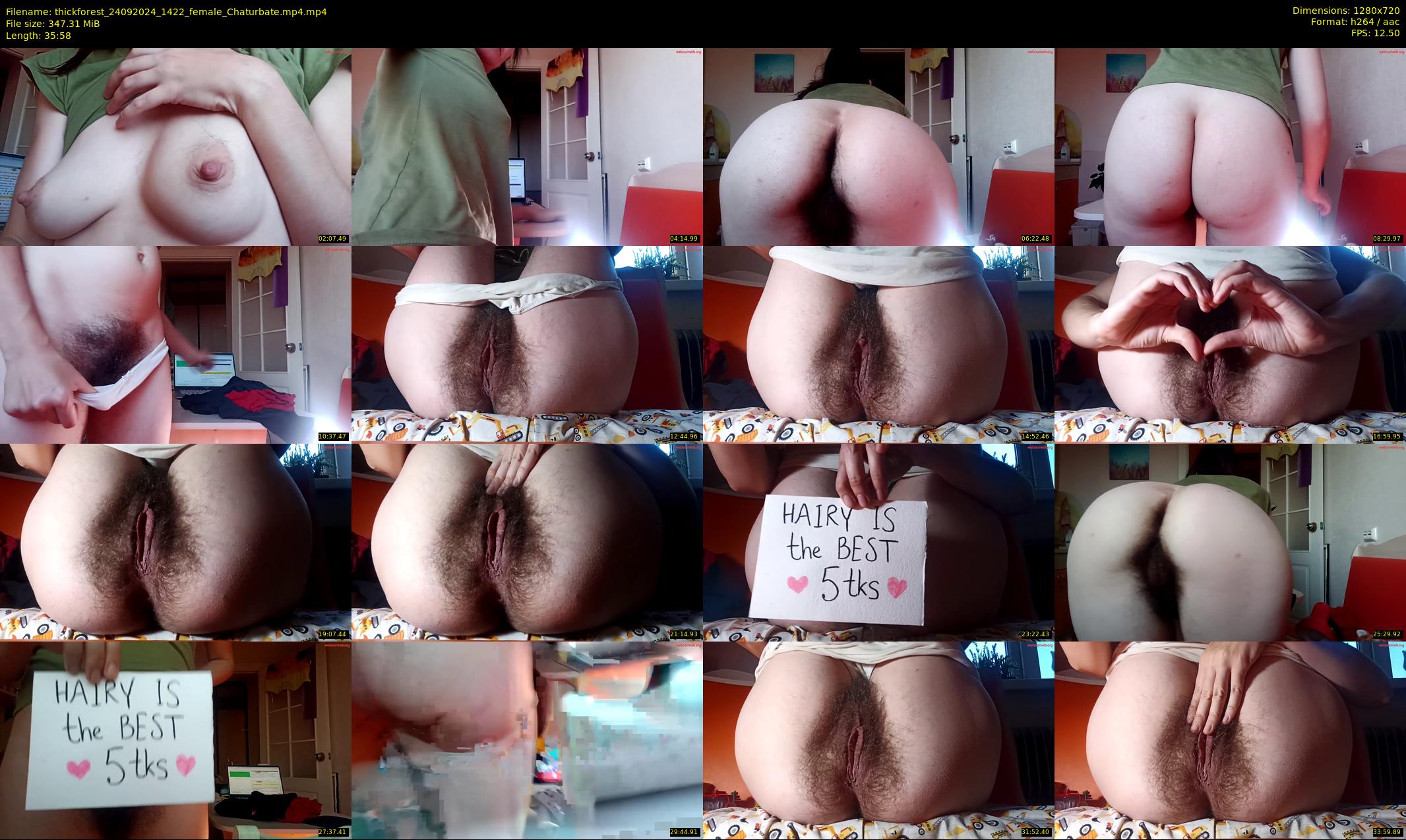 thickforest — 36 minute Chaturbate female cam show recording, 720p, Sep 24, 2024