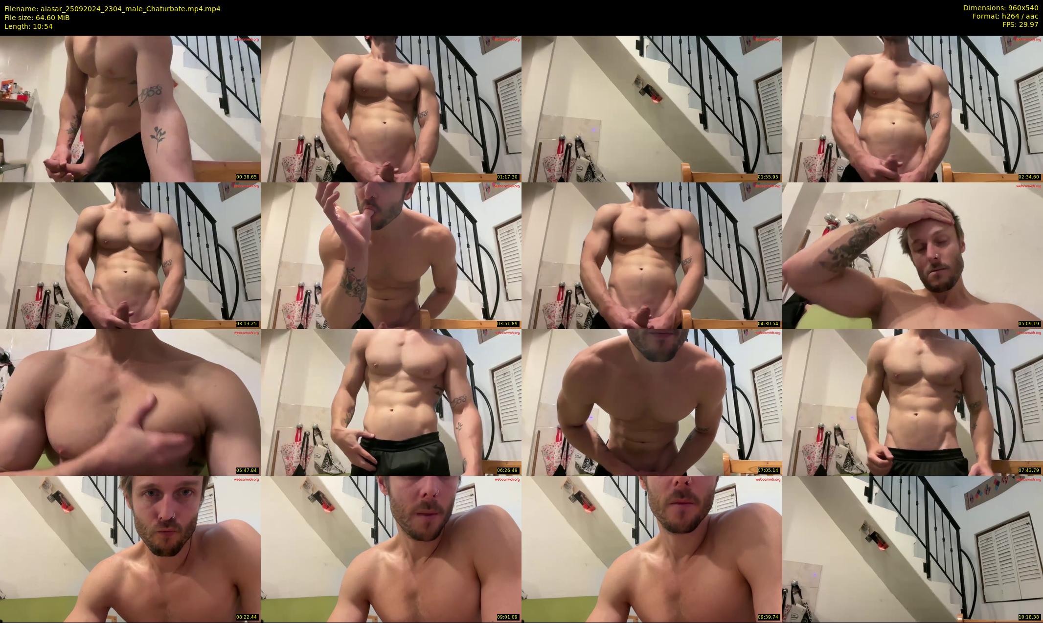 aiasar — 11 minute Chaturbate male cam show recording, 480p, Sep 25, 2024