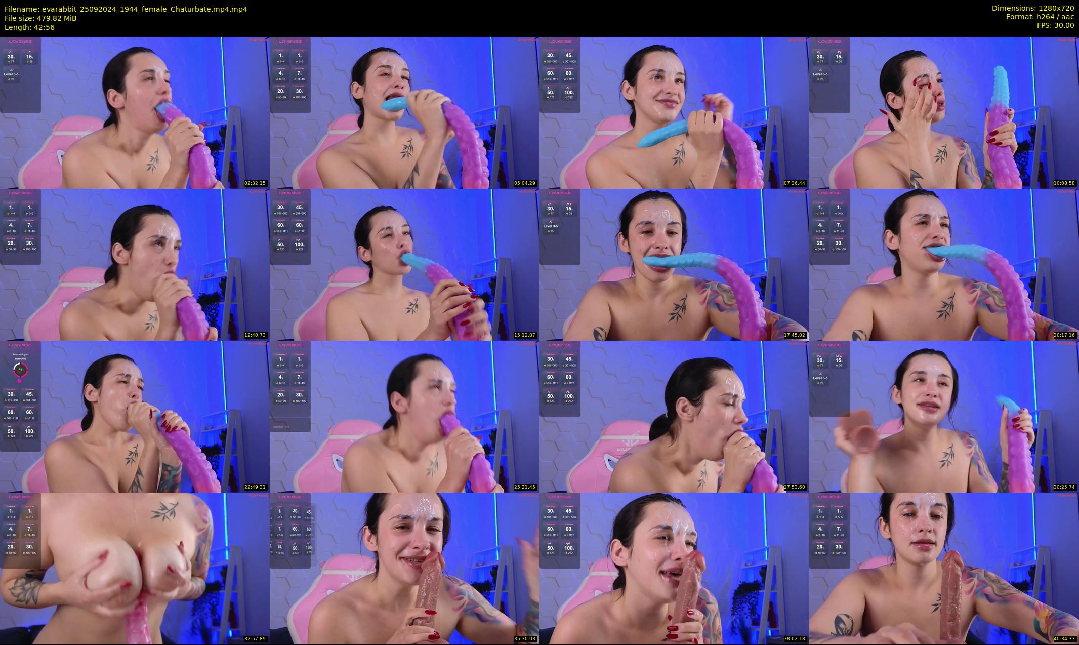 evarabbit — 43 minute Chaturbate female cam show recording, 720p, Sep 25, 2024