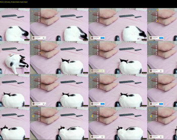 zoey_cooper — 37 minute Chaturbate female cam show recording, 720p, Sep 27, 2024