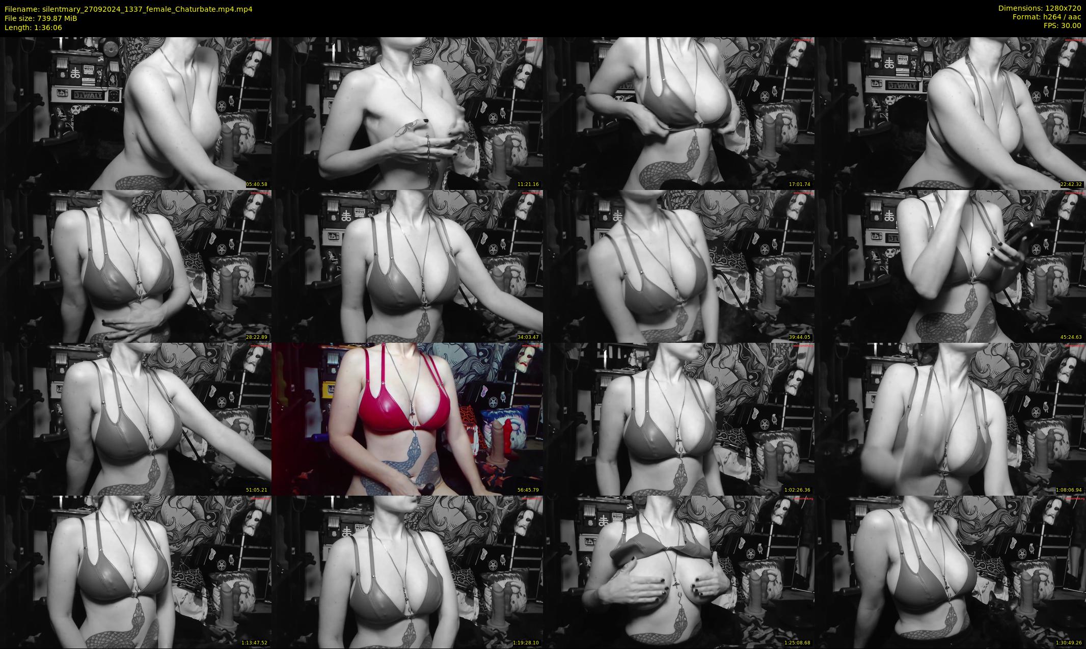 silentmary — 97 minute Chaturbate female cam show recording, 720p, Sep 27, 2024