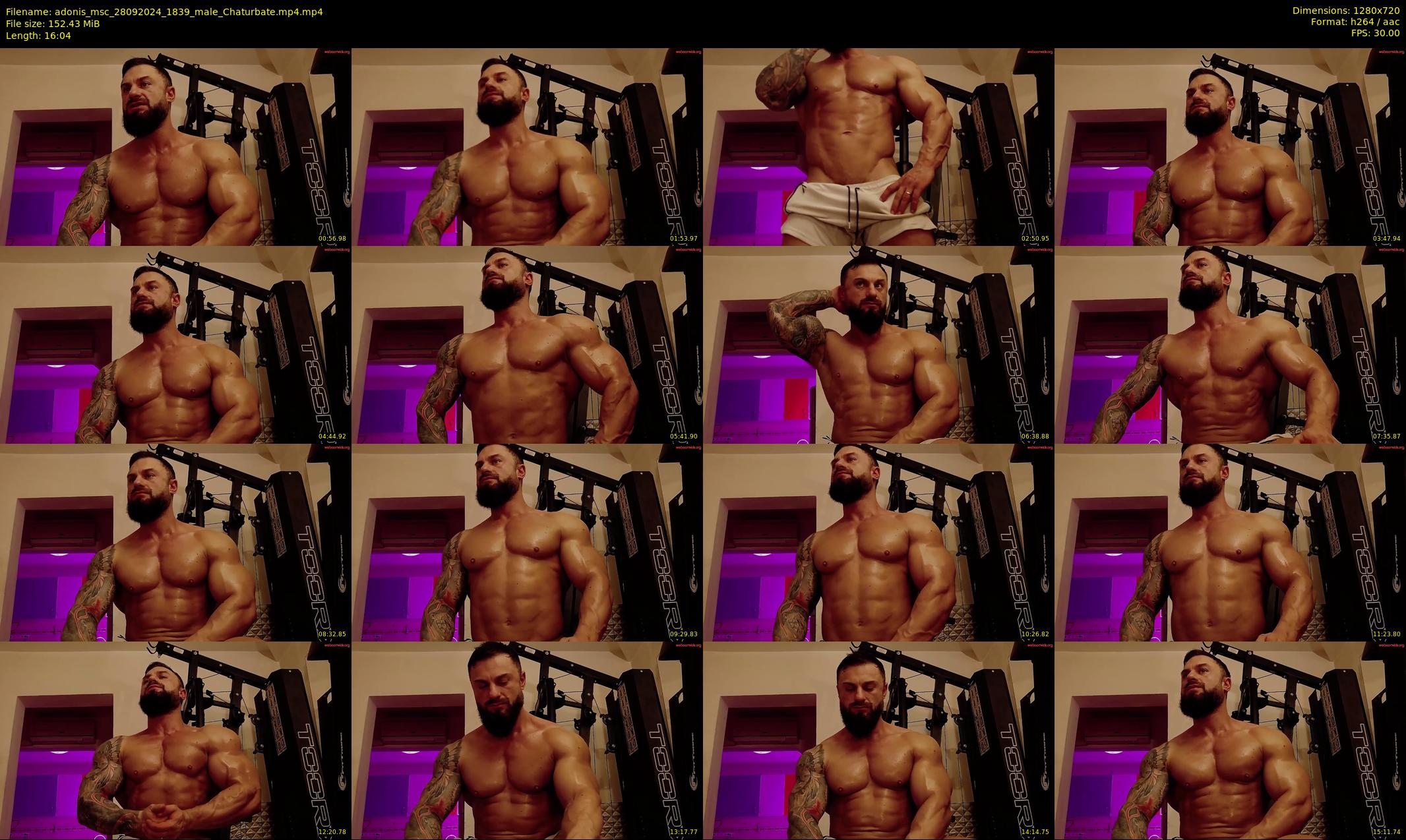 adonis_msc — 17 minute Chaturbate male cam show recording, 720p, Sep 28, 2024