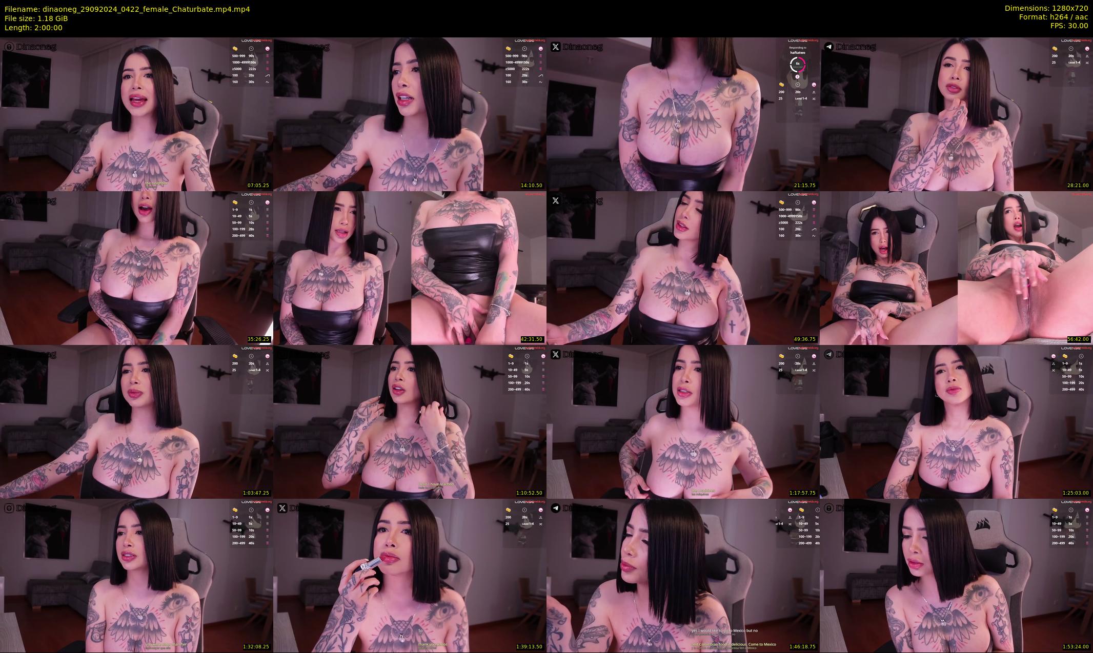 dinaoneg — 120 minute Chaturbate female cam show recording, 720p, Sep 29, 2024