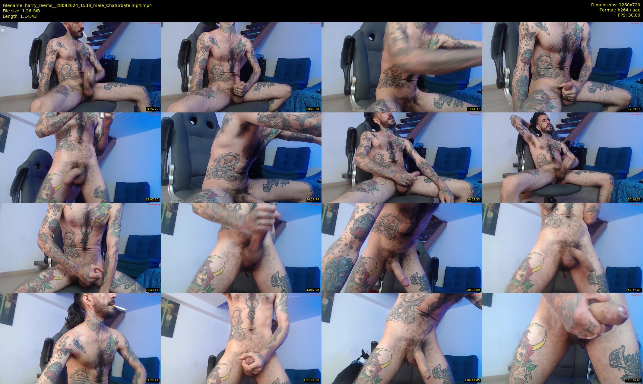 harry_reems_ — 75 minute Chaturbate male cam show recording, 720p, Sep 28, 2024