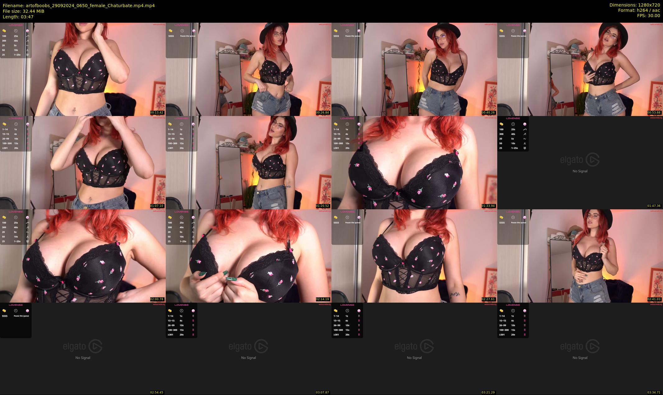 artofboobs — 4 minute Chaturbate female cam show recording, 720p, Sep 29, 2024