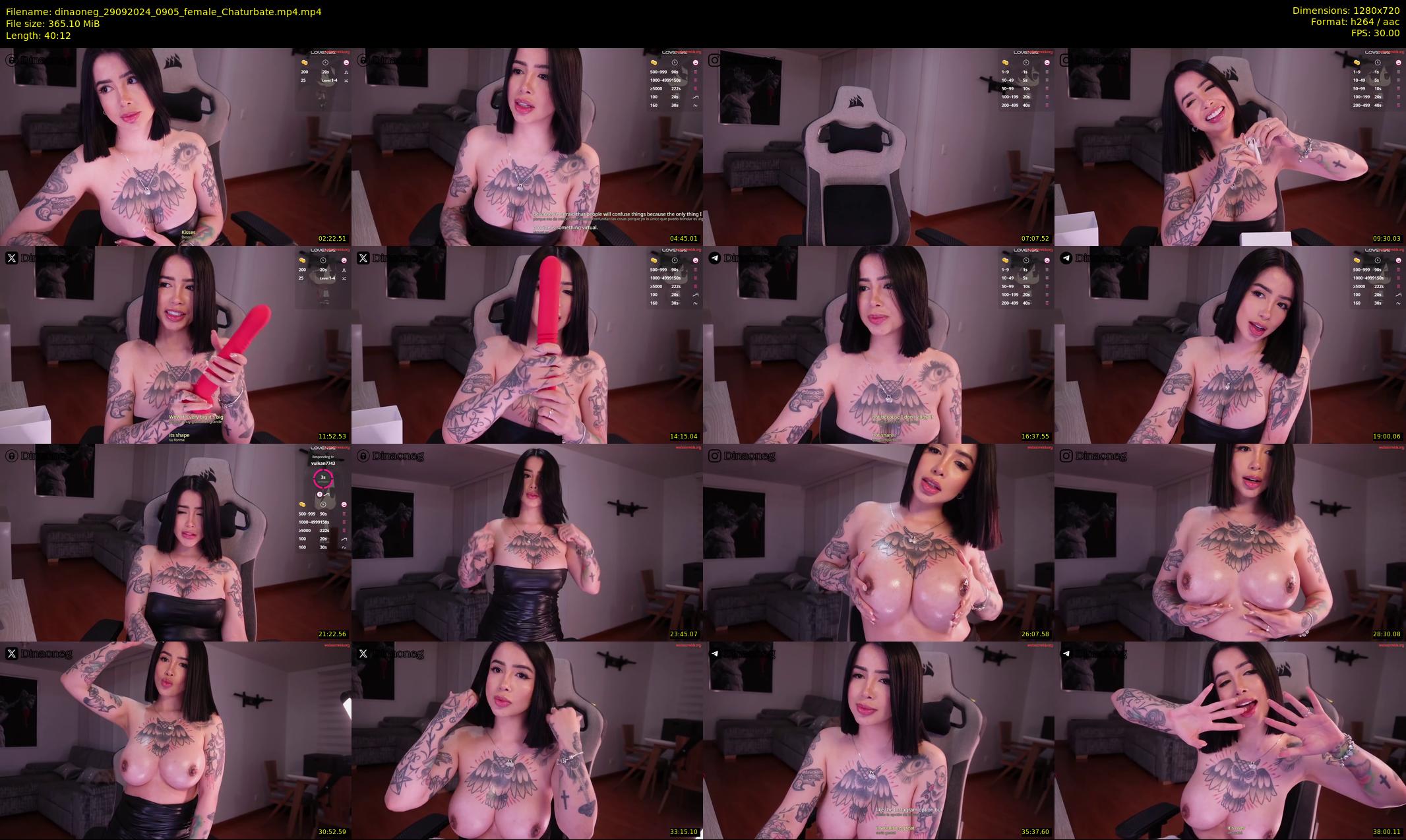 dinaoneg — 41 minute Chaturbate female cam show recording, 720p, Sep 29, 2024
