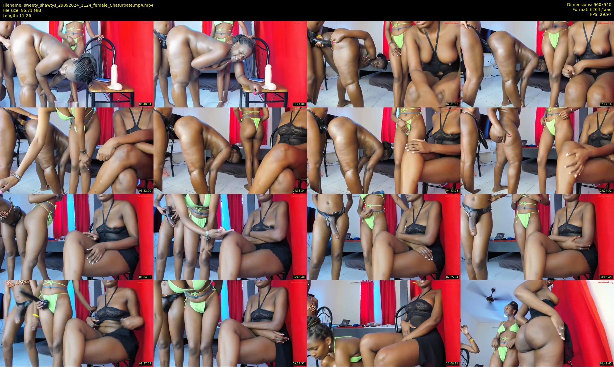 sweety_shawtys — 12 minute Chaturbate female cam show recording, 480p, Sep 29, 2024