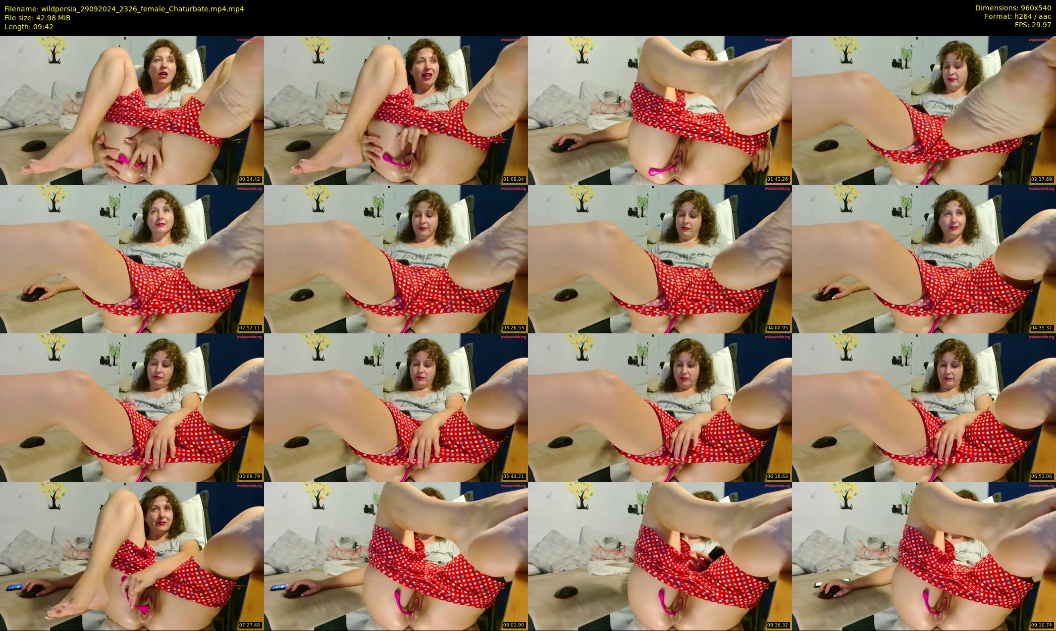 wildpersia — 10 minute Chaturbate female cam show recording, 480p, Sep 29, 2024