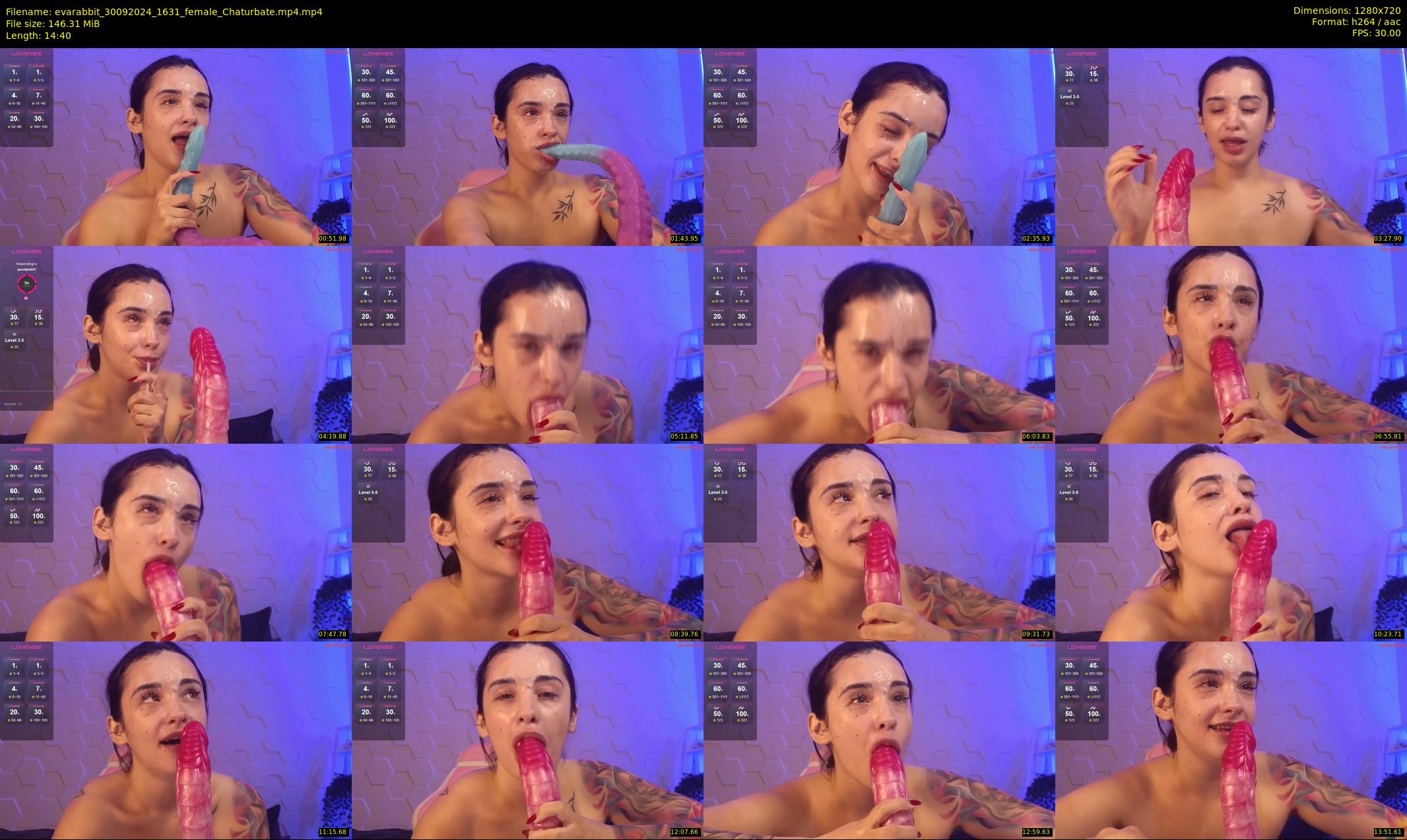 evarabbit — 15 minute Chaturbate female cam show recording, 720p, Sep 30, 2024