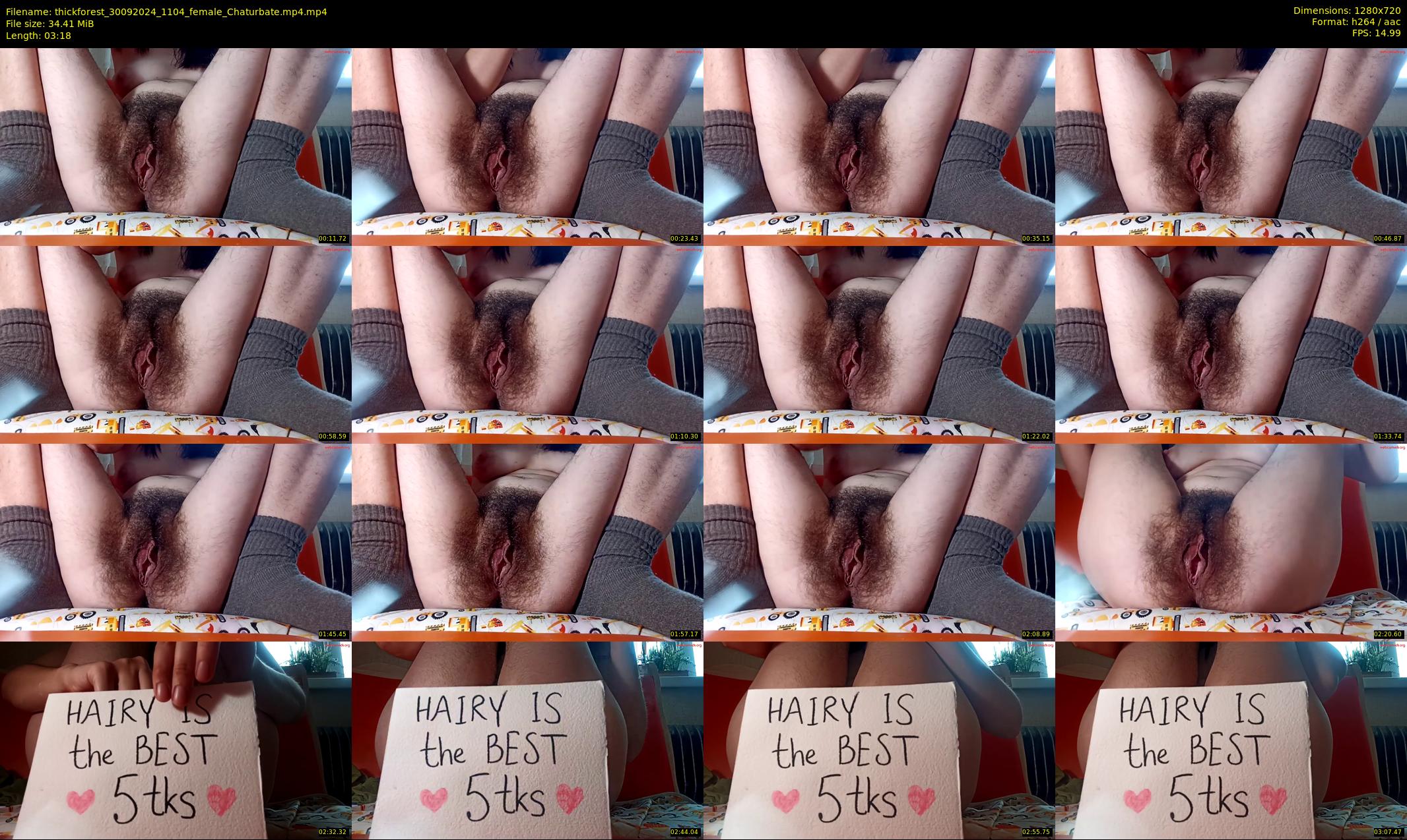 thickforest — 4 minute Chaturbate female cam show recording, 720p, Sep 30, 2024