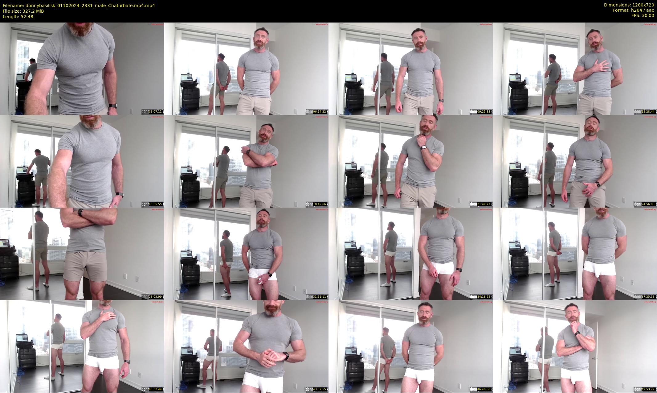 donnybasilisk — 53 minute Chaturbate male cam show recording, 720p, Oct 1, 2024