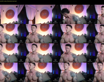 thomas_falcon1 — 69 minute Chaturbate male cam show recording, 720p, Oct 3, 2024