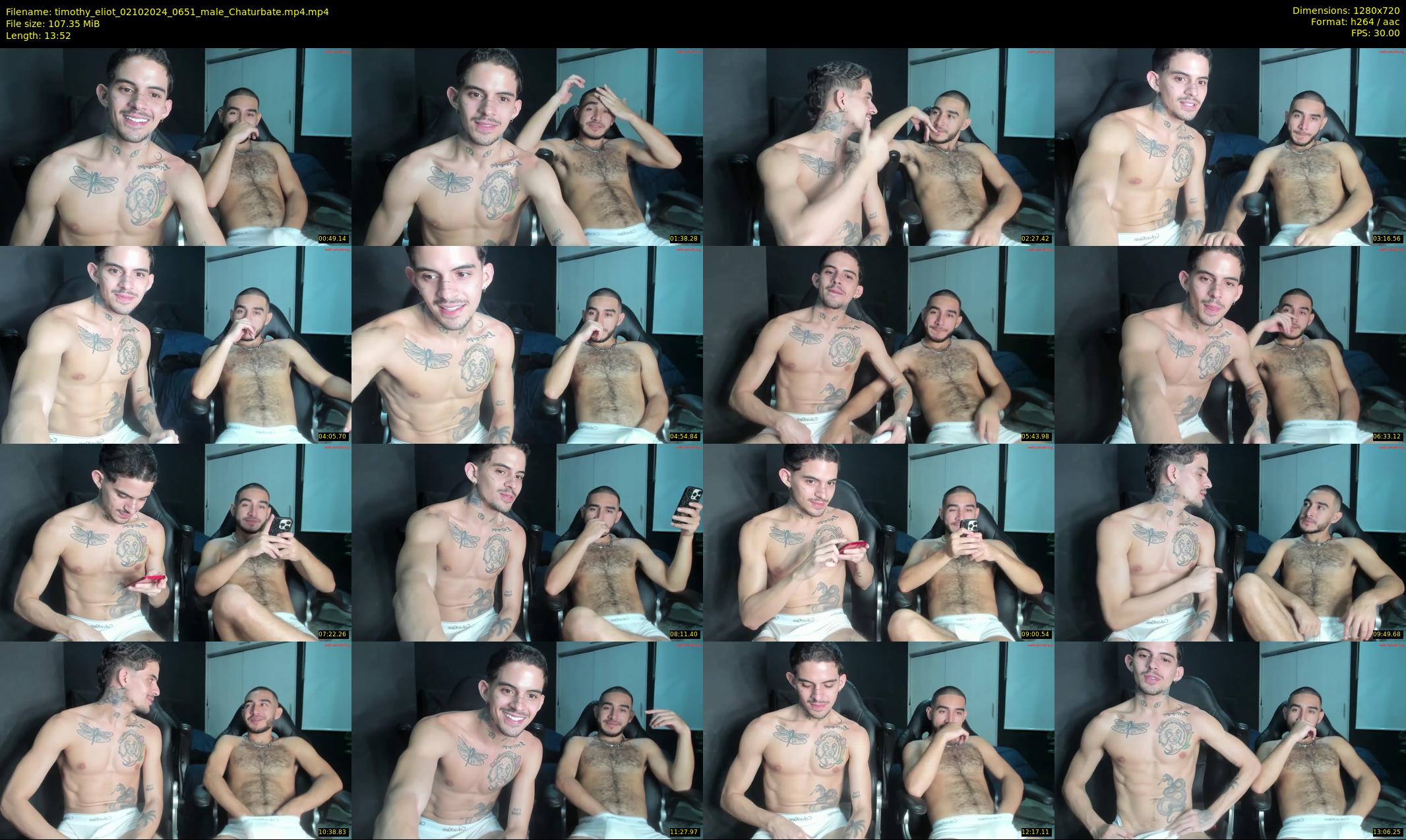 timothy_eliot — 14 minute Chaturbate male cam show recording, 720p, Oct 2, 2024