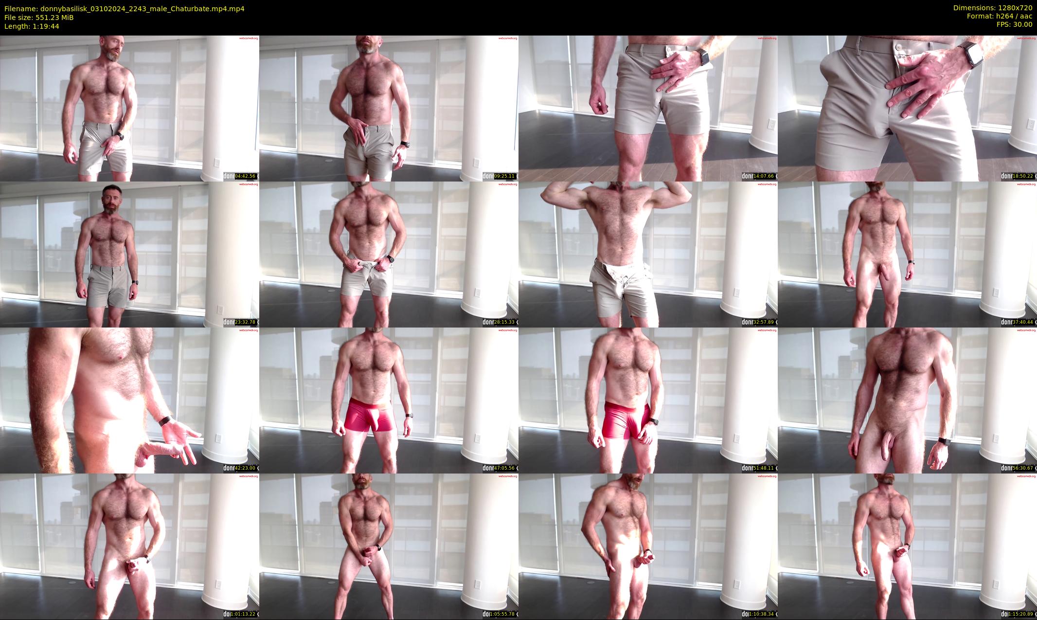 donnybasilisk — 80 minute Chaturbate male cam show recording, 720p, Oct 3, 2024