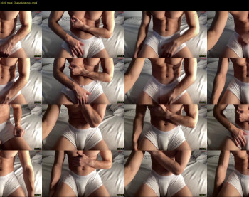 bestdick1991 — 20 minute Chaturbate male cam show recording, 720p, Oct 4, 2024