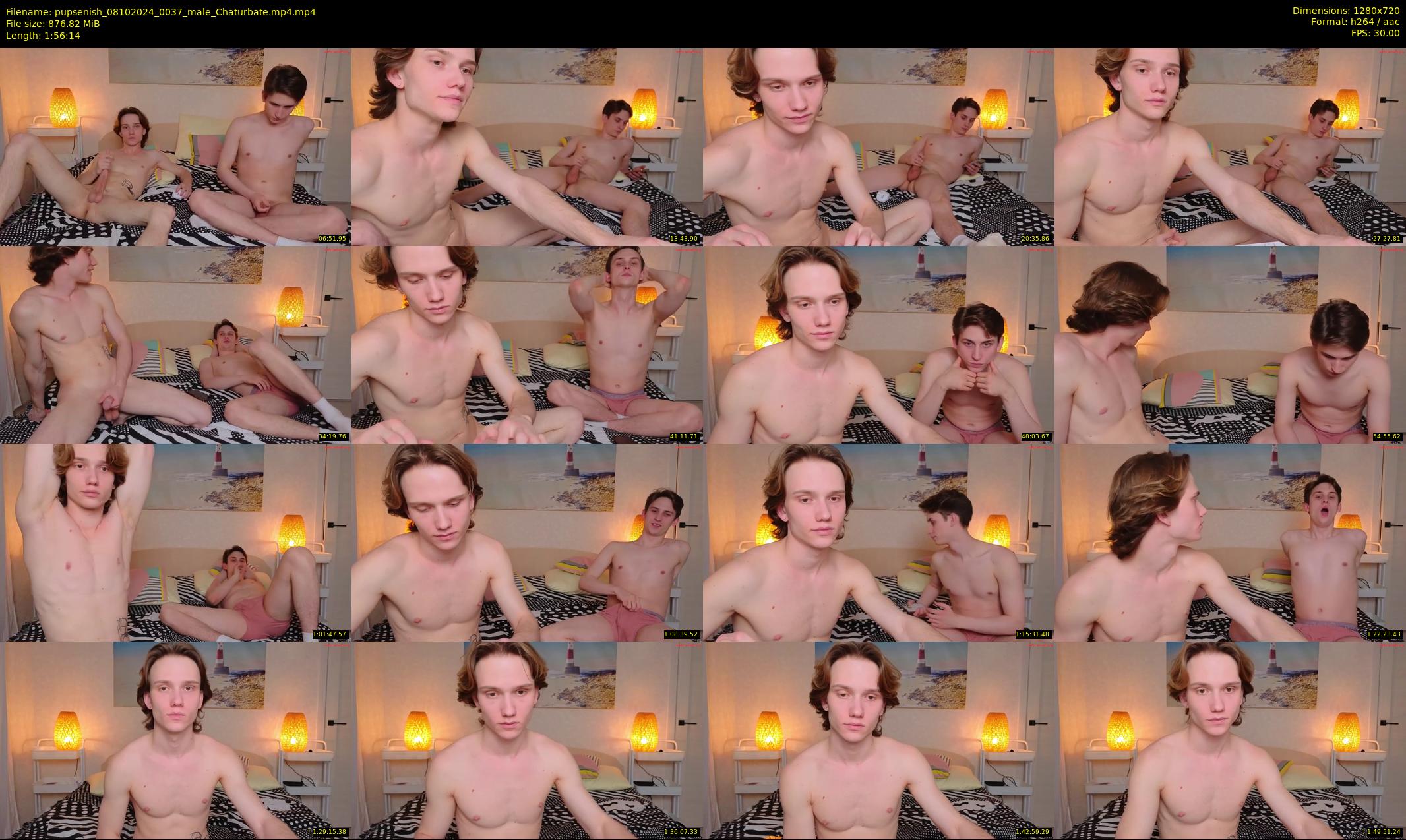 pupsenish — 117 minute Chaturbate male cam show recording, 720p, Oct 8, 2024