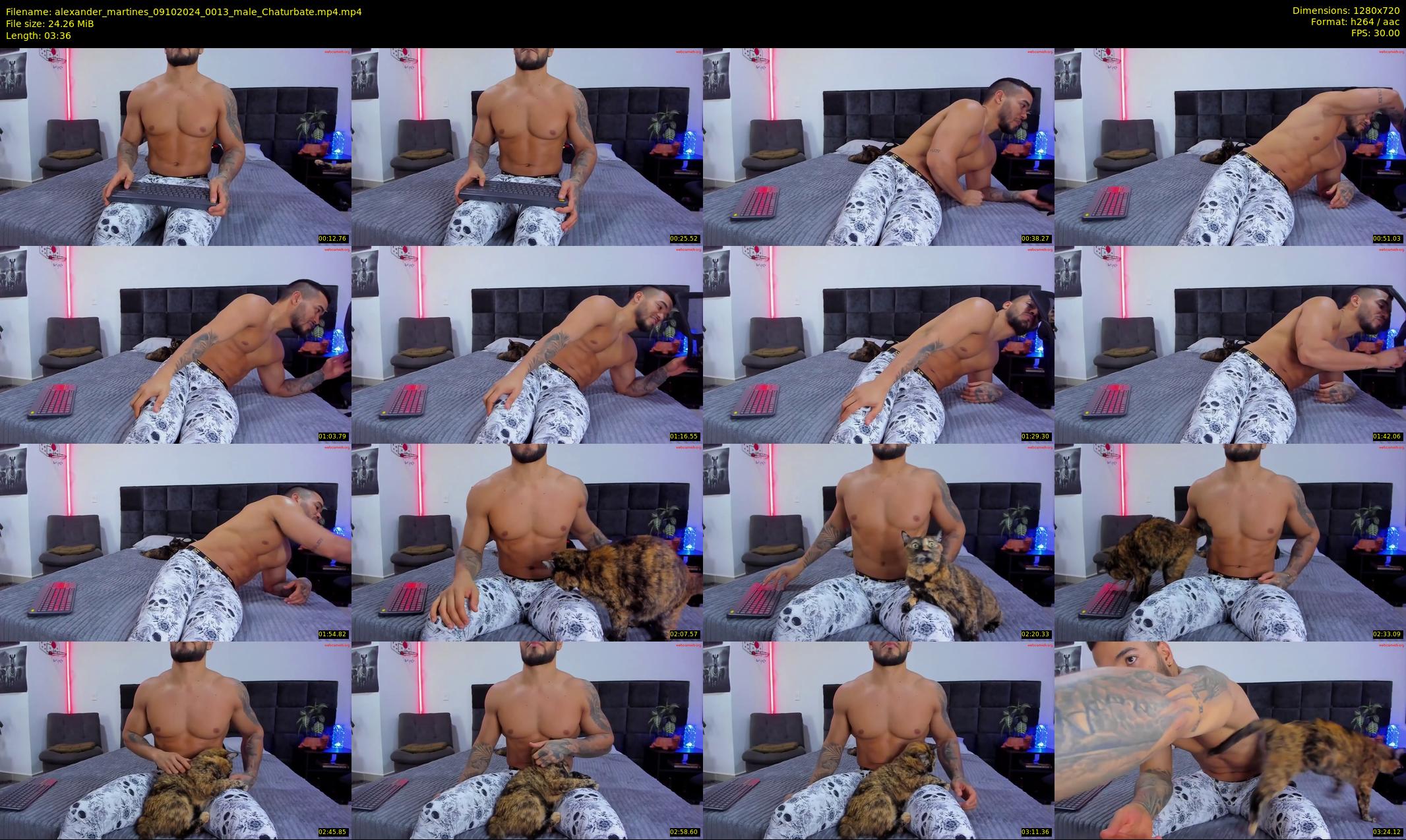 alexander_martines — 4 minute Chaturbate male cam show recording, 720p, Oct 9, 2024