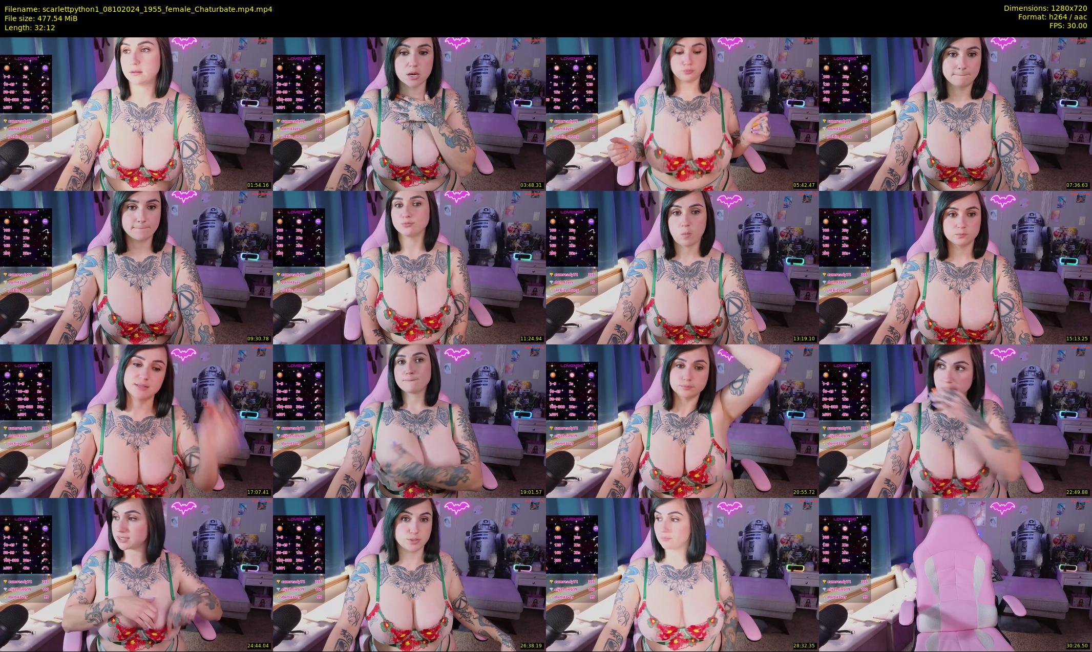 scarlettpython1 — 33 minute Chaturbate female cam show recording, 720p, Oct 8, 2024