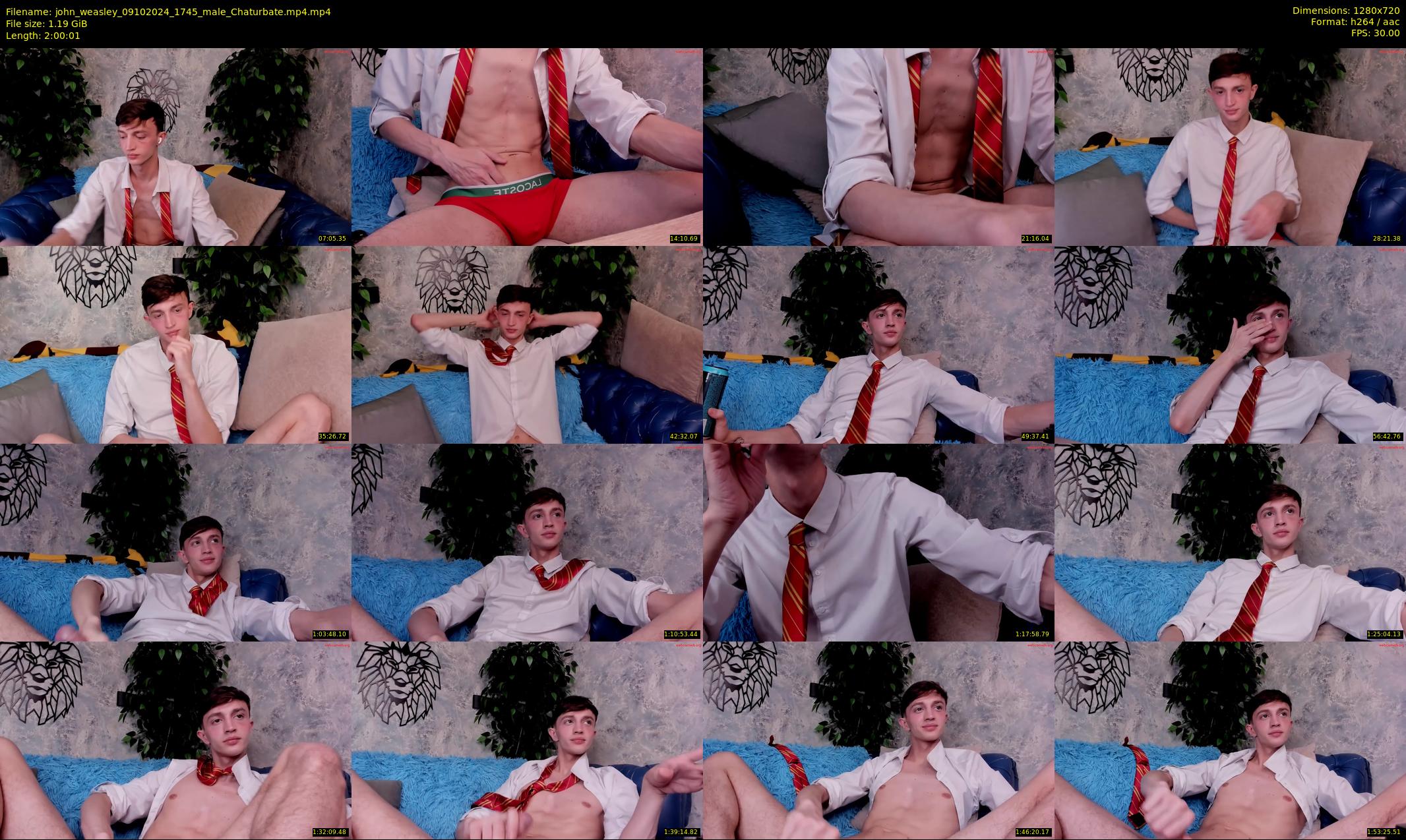 john_weasley — 121 minute Chaturbate male cam show recording, 720p, Oct 9, 2024