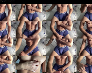 bestdick1991 — 22 minute Chaturbate male cam show recording, 720p, Oct 11, 2024