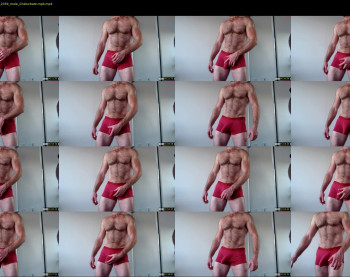 donnybasilisk — 4 minute Chaturbate male cam show recording, 720p, Oct 10, 2024